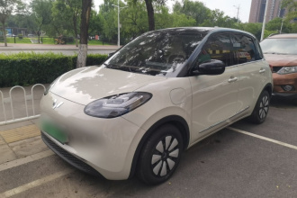 五菱汽车 五菱缤果 2023款 333km 悦享款