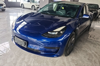 特斯拉 Model 3 2021款 标准续航后驱升级版