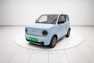 吉利银河 2023款 熊猫mini 200km 耐力熊