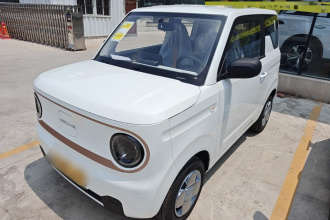 吉利银河 2024款 熊猫mini 200km 耐力熊