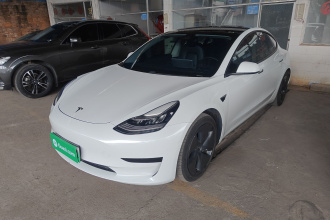 特斯拉 Model 3 2020款 改款 标准续航后驱升级版