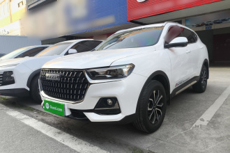 哈弗H6 2023款 国潮版 1.5T 自动都市版