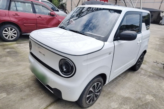 吉利银河 2024款 熊猫mini 200km 耐力熊