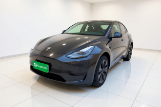 特斯拉 Model Y 2024款 后轮驱动版