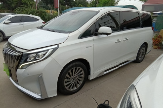 广汽传祺 传祺M8 2021款 大师系列 390T 至尊版