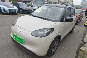 五菱汽车 五菱缤果 2025款 333km 悦享款