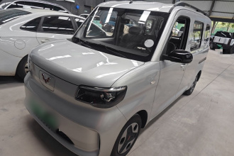 五菱汽车 五菱之光新能源 2025款 305km 进取型
