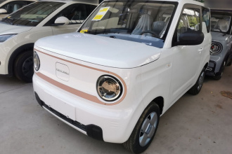 吉利银河 2024款 熊猫mini 200km 耐力熊