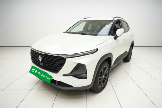 宝骏RS-3 2020款 1.5L 手动24小时在线精英型