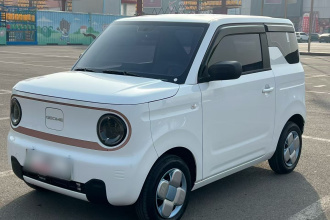 吉利银河 2024款 熊猫mini 200km 耐力熊