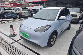 五菱汽车 五菱缤果 2024款 333km 灵犀互联款