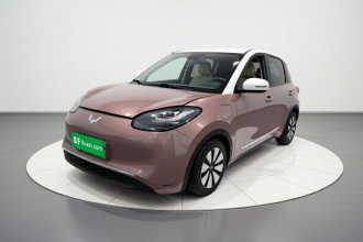 五菱汽车 五菱缤果 2023款 333km 悦享+款