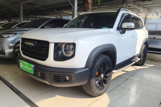 哈弗大狗 2022款 1.5T DCT两驱边牧版