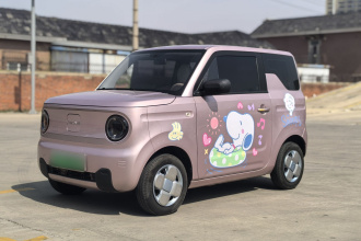 吉利银河 2023款 熊猫mini 200km 耐力熊