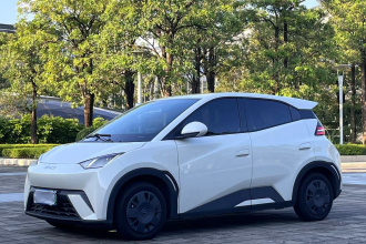 比亚迪 海鸥 2025款 305km 活力版