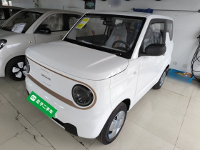 吉利银河 2024款 熊猫mini 200km 耐力熊