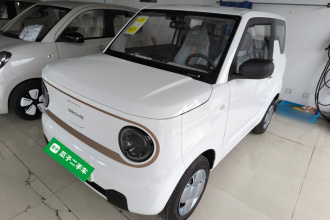 吉利银河 2024款 熊猫mini 200km 耐力熊