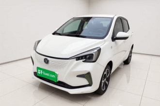 长安 奔奔E-Star 2020款 心动版 三元锂