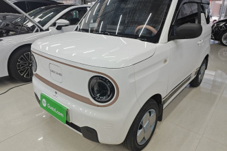 吉利银河 2024款 熊猫mini 200km 耐力熊