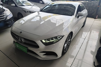 奔驰CLS 2020款 CLS 300 动感型