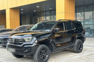 坦克400新能源 2024款 Hi4-T 越野版