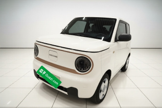 吉利银河 2024款 熊猫mini 200km 耐力熊