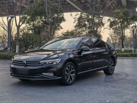 大众 迈腾 2020款 330TSI DSG 豪华型