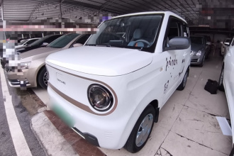 吉利银河 2024款 熊猫mini 200km 耐力熊