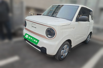 吉利银河 2024款 熊猫mini 200km 耐力熊