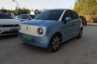 欧拉黑猫 2021款 351km 标准型