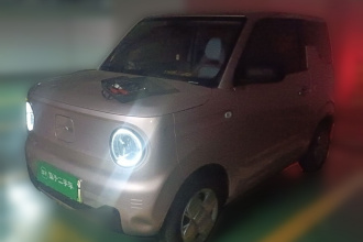 吉利银河 2023款 熊猫mini 200km 耐力熊