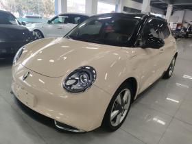 欧拉好猫 2022款 莫兰迪版 400km标准续航 两周年轻享型 磷酸铁锂