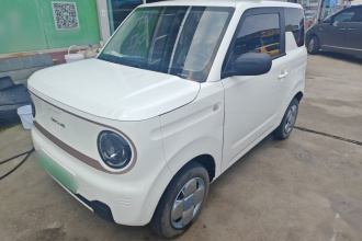 吉利银河 2023款 熊猫mini 200km 耐力熊