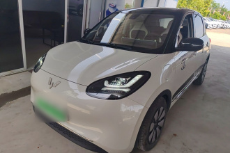 五菱汽车 五菱缤果 2023款 333km 快享款
