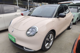 欧拉好猫 2022款 400km标准续航 豪华型 磷酸铁锂