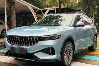 岚图汽车 岚图FREE 2021款 两驱标准纯电城市版