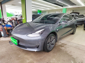 特斯拉 Model 3(进口) 2019款 长续航后驱版