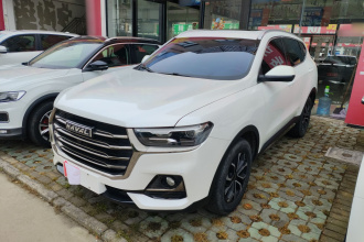 哈弗H6 2021款 国潮版 1.5T 自动都市版