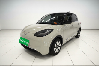 五菱汽车 五菱缤果 2023款 333km 灵犀互联款