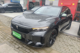 岚图汽车 岚图FREE 2025款 318 318km 后驱环游版