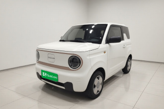 吉利银河 2023款 熊猫mini 120km 超萌熊