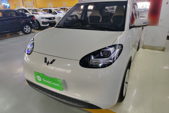 五菱汽车 五菱缤果 2023款 333km 快享款