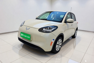 五菱汽车 五菱缤果 2023款 203km 轻享款