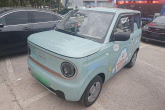 吉利银河 2024款 熊猫mini 200km 耐力熊