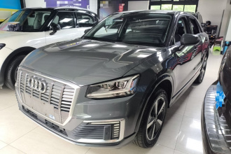 奥迪Q2L e-tron 2019款 Q2L e-tron 纯电智享型