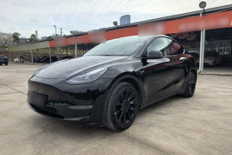 特斯拉 Model Y 2021款 标准续航后驱版