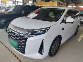 比亚迪 夏 2025款 DM-i 1.5T 180km 超越型