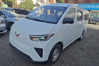 五菱汽车 五菱扬光 2024款 300KM 舒适型客车版 75kW