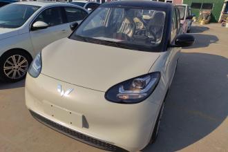 五菱汽车 五菱缤果 2024款 203km 轻享款