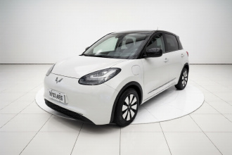 五菱汽车 五菱缤果 2023款 410km 灵犀尊享款
